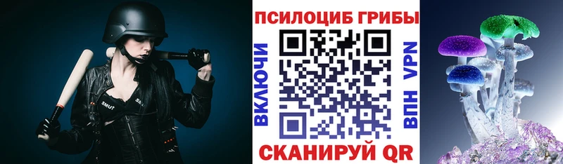 цена   hydra вход  darknet Telegram  Ачхой-Мартан  Галлюциногенные грибы прущие грибы 